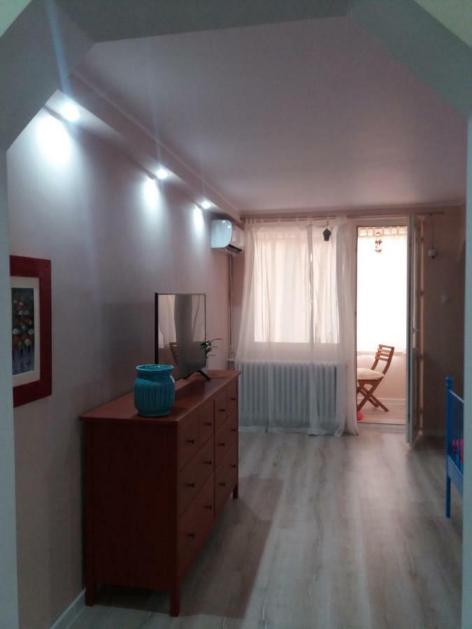 Skyline Central Apartment Timişoara Exterior foto