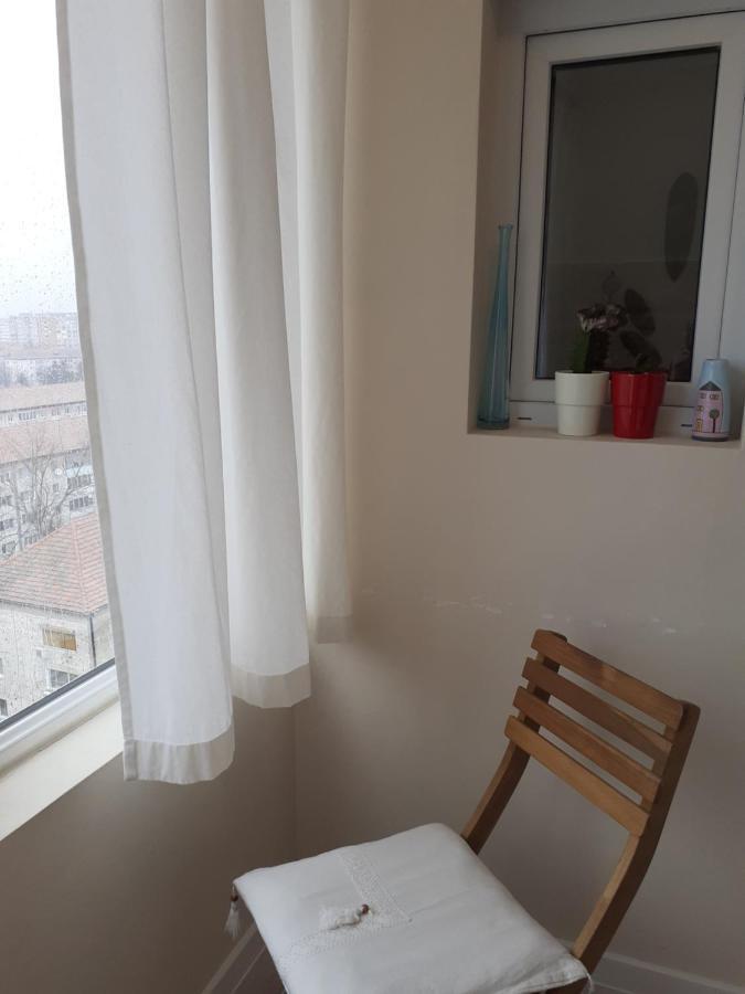 Skyline Central Apartment Timişoara Exterior foto